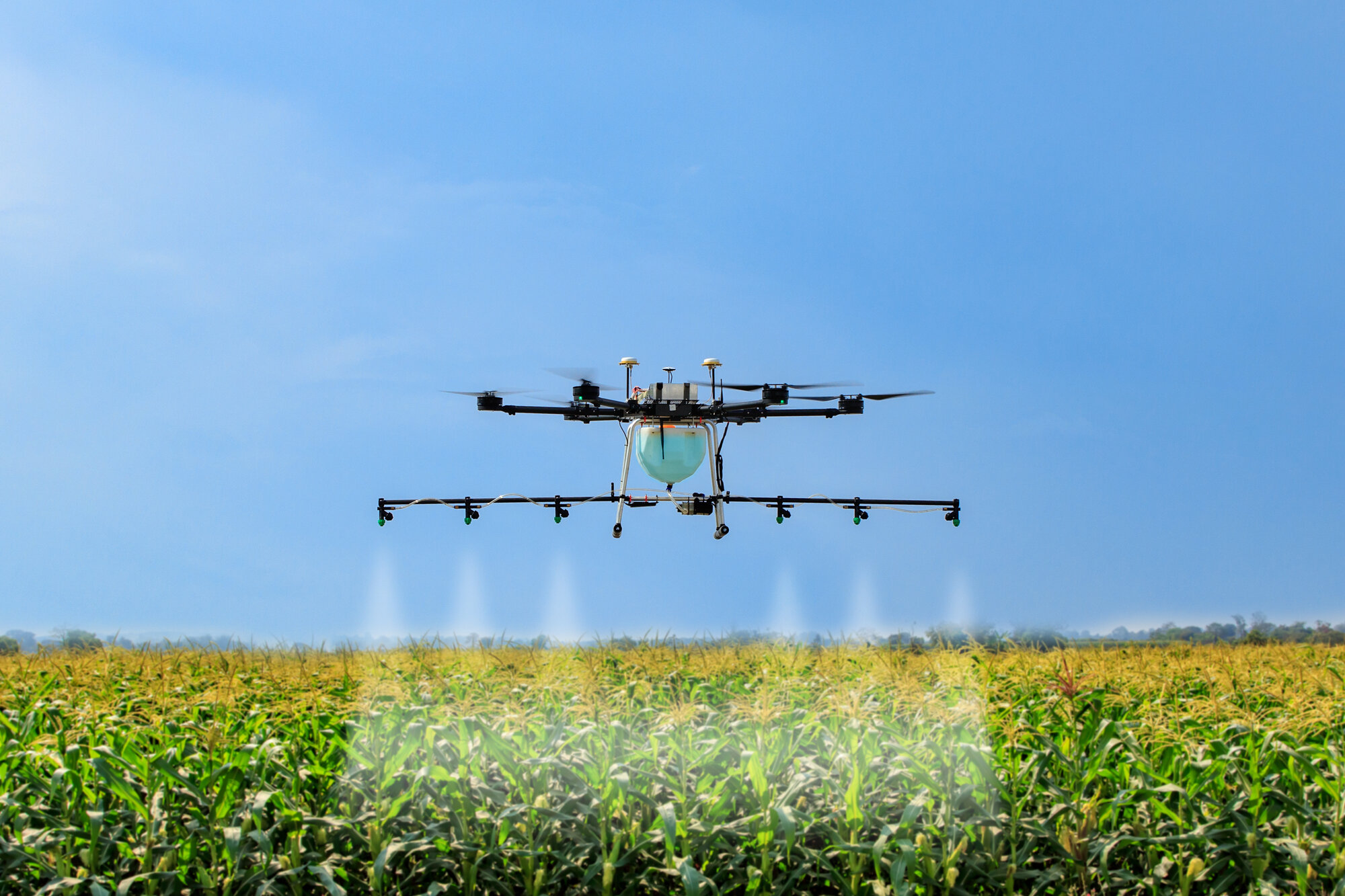 Drone Spray Pesticide Corn Field